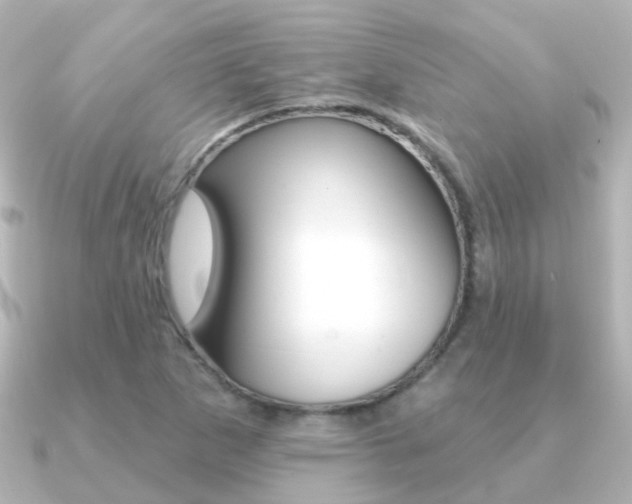 X0000091331265200708100955