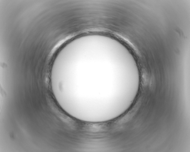 X0000091331266200708100955