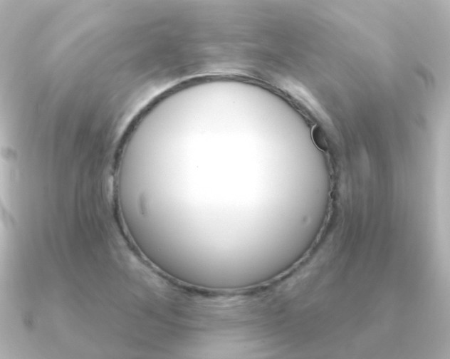 X0000091331268200708100955