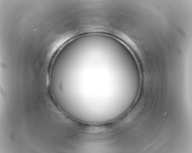 X0000091331269200708100955