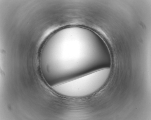 X0000091331270200708100955