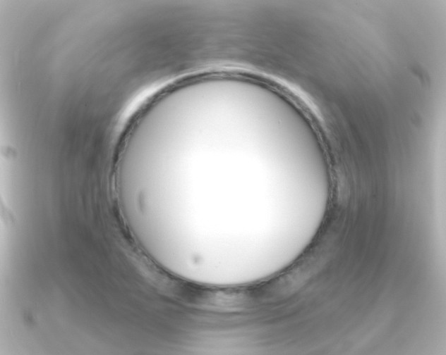 X0000091331271200708100955