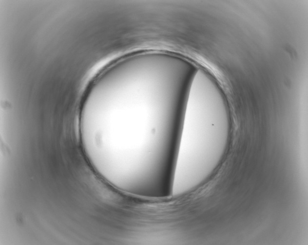 X0000091331272200708100955