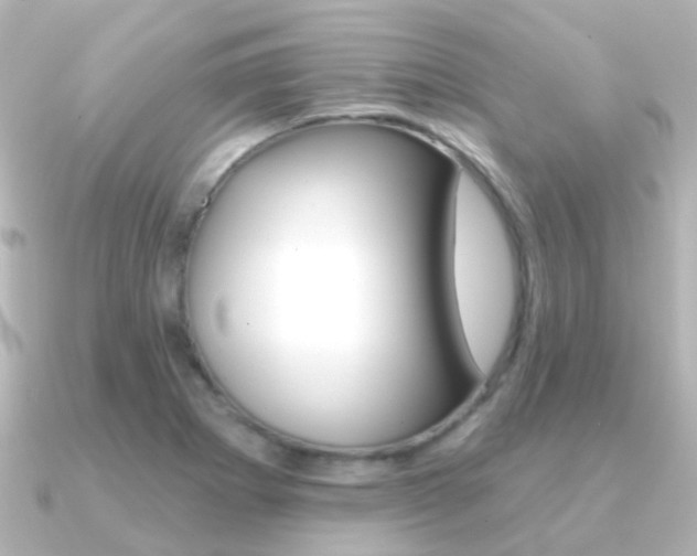 X0000091331273200708100955