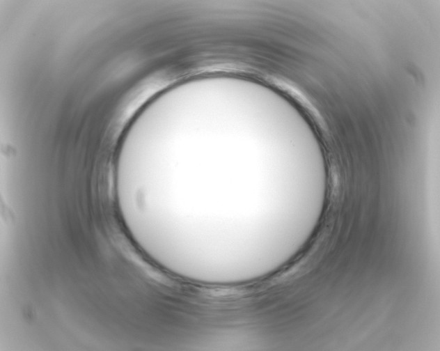 X0000091331274200708100955