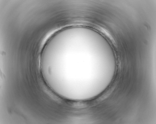 X0000091331275200708100955