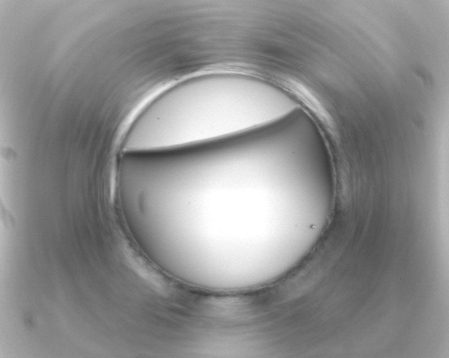 X0000091331276200708100955