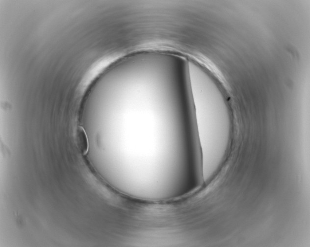X0000091331277200708100955