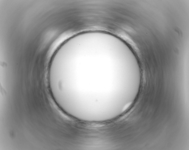 X0000091331278200708100955