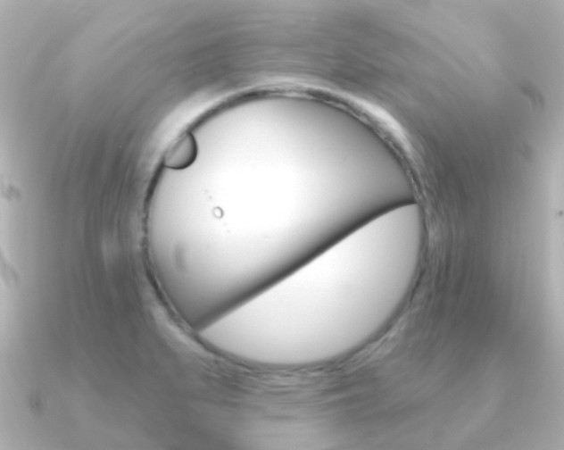 X0000091331279200708100955