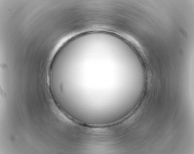 X0000091331280200708100955