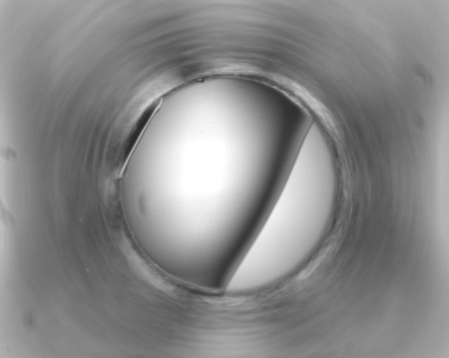 X0000091331281200708100955