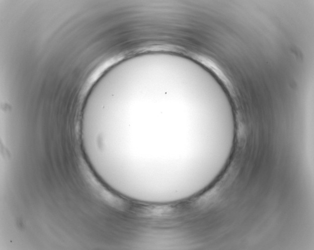 X0000091331282200708100955
