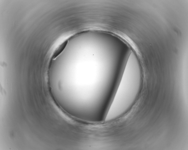 X0000091331285200708100955