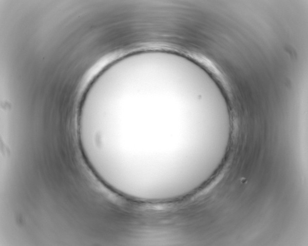 X0000091331286200708100955