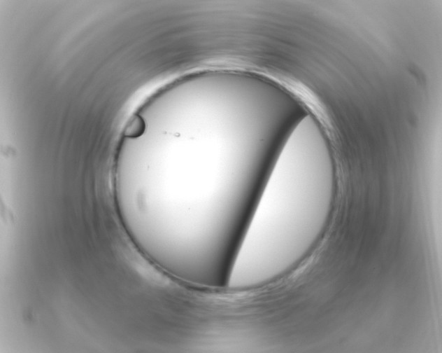 X0000091331288200708100955