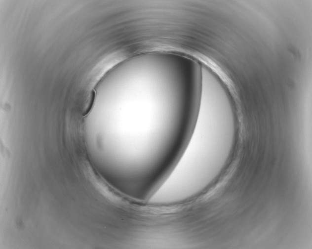 X0000091331289200708100955