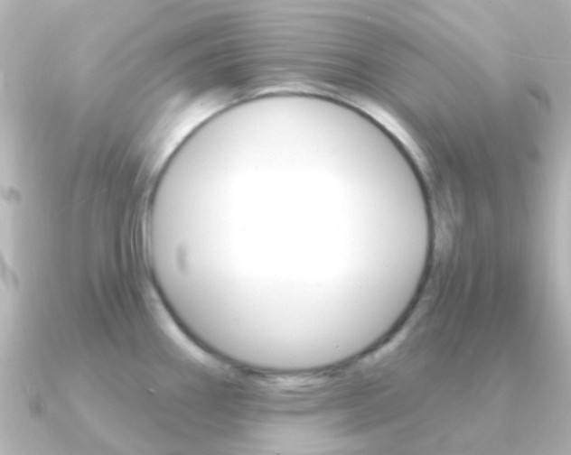 X0000091331290200708100955