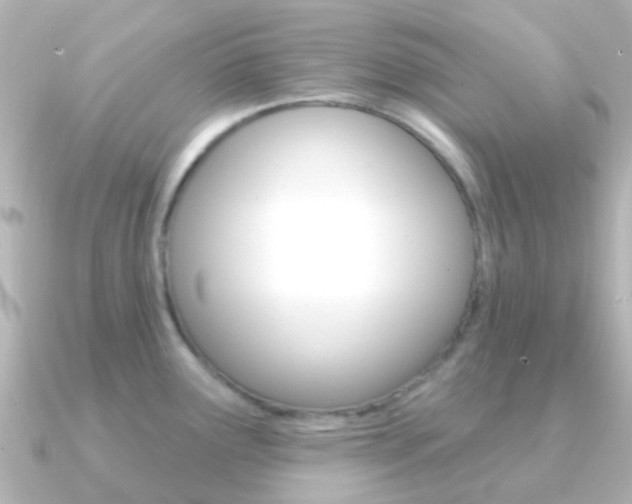 X0000091331291200708100955