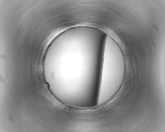 X0000091331292200708100955
