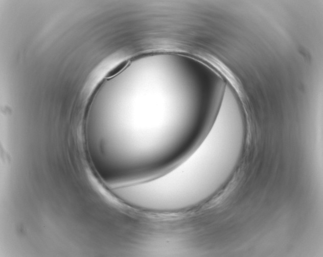 X0000091331293200708100955