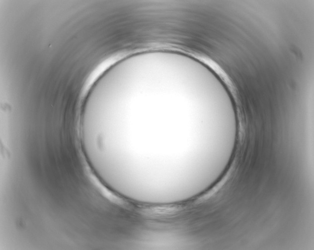 X0000091331294200708100955