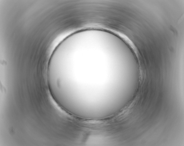 X0000091331295200708100955