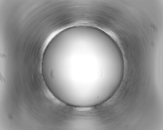 X0000091331296200708100955