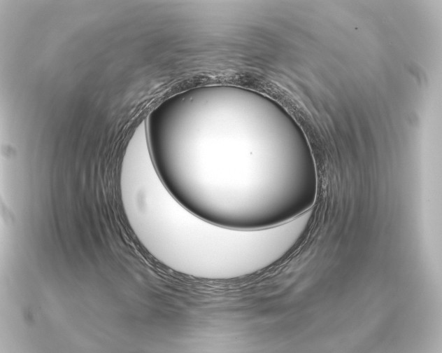 X0000091331298200708100954