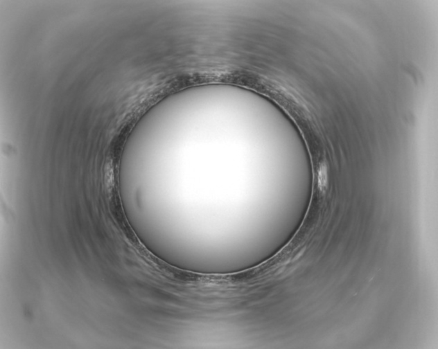 X0000091331299200708100954