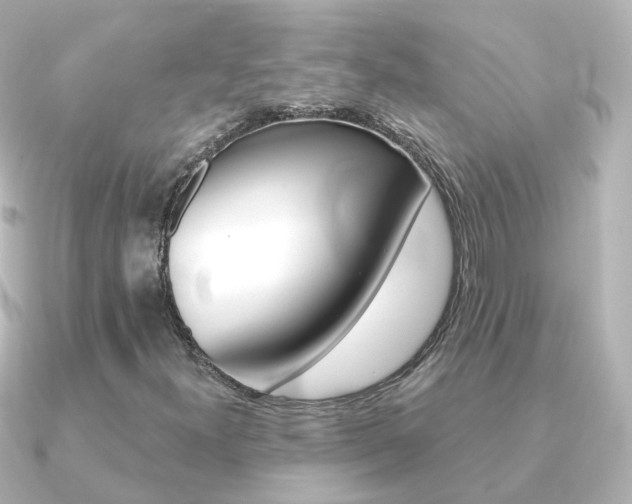 X0000091331300200708100954