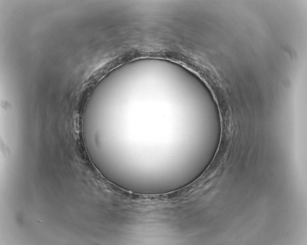 X0000091331301200708100954