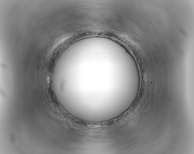 X0000091331302200708100954