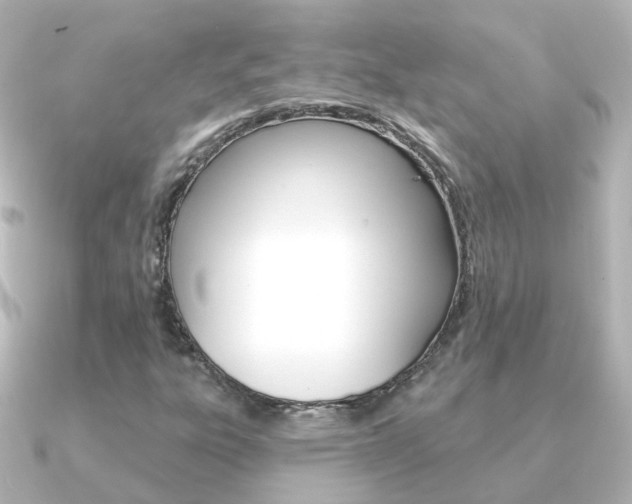 X0000091331303200708100954
