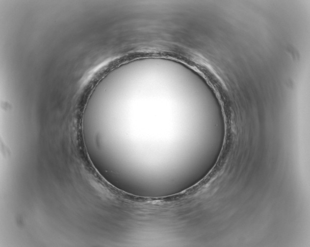 X0000091331304200708100954