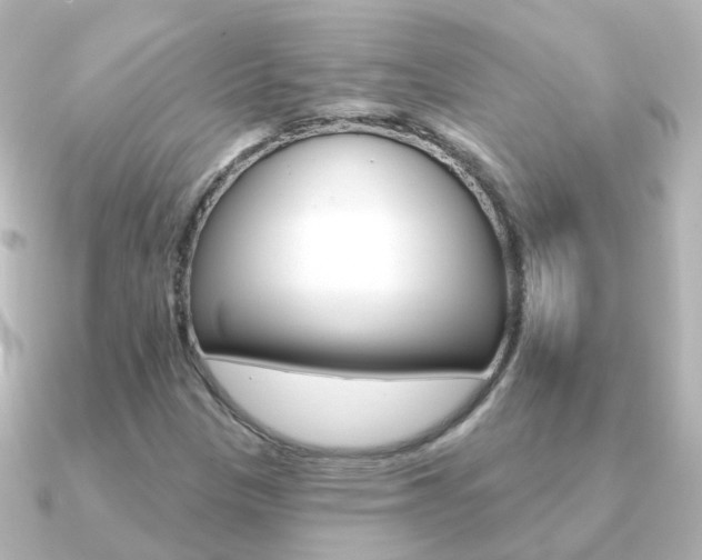 X0000091331305200708100954