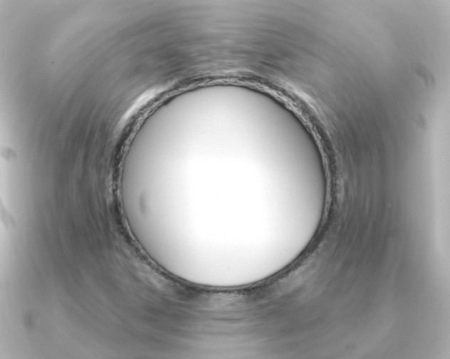 X0000091331306200708100954