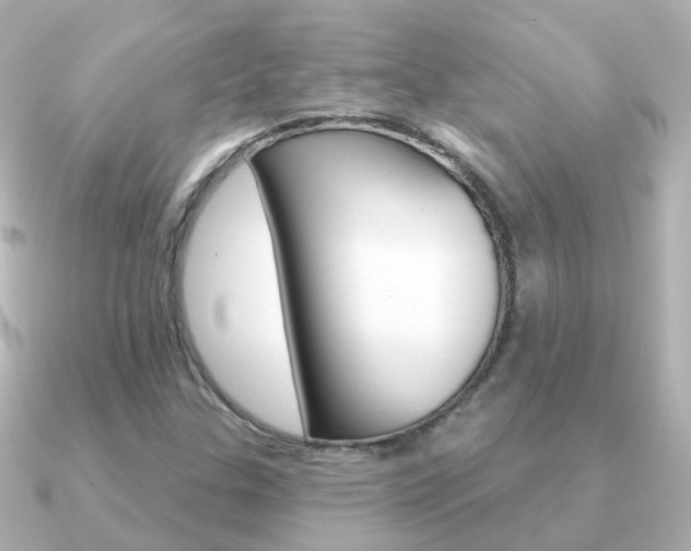 X0000091331307200708100954