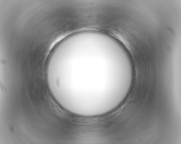 X0000091331308200708100954