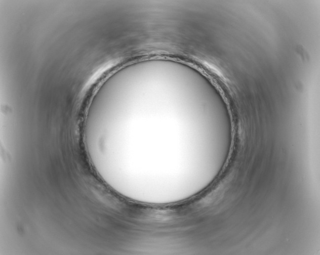 X0000091331309200708100954