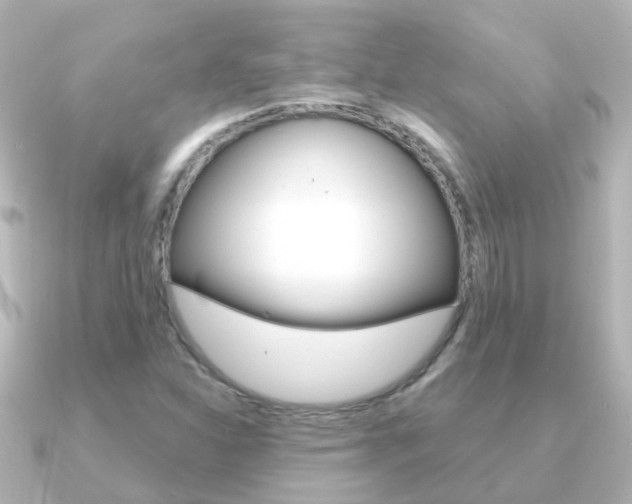 X0000091331310200708100954