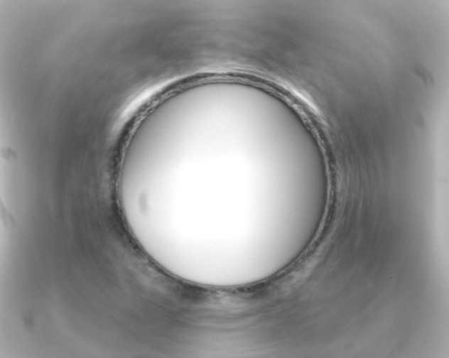 X0000091331311200708100954