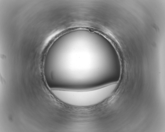 X0000091331312200708100954