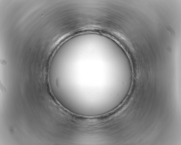 X0000091331313200708100954