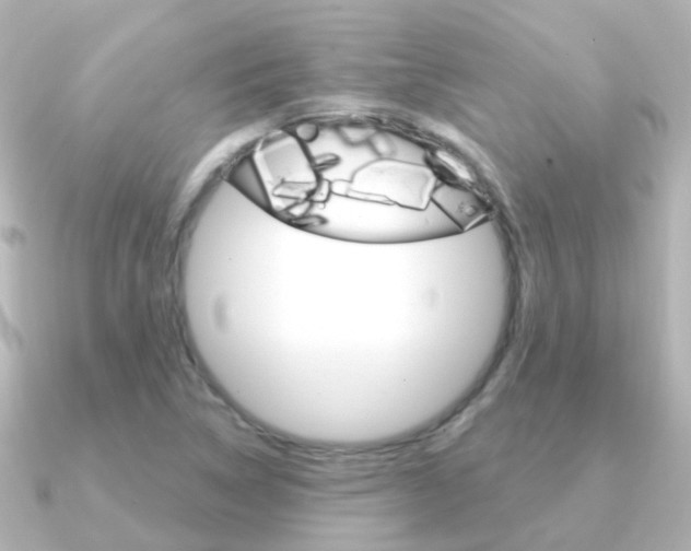 X0000091331314200708100954