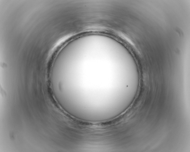 X0000091331315200708100954