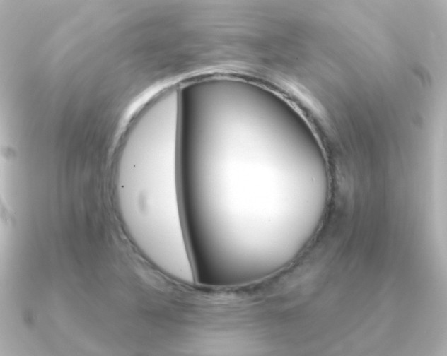 X0000091331316200708100954