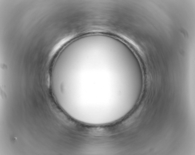 X0000091331317200708100955
