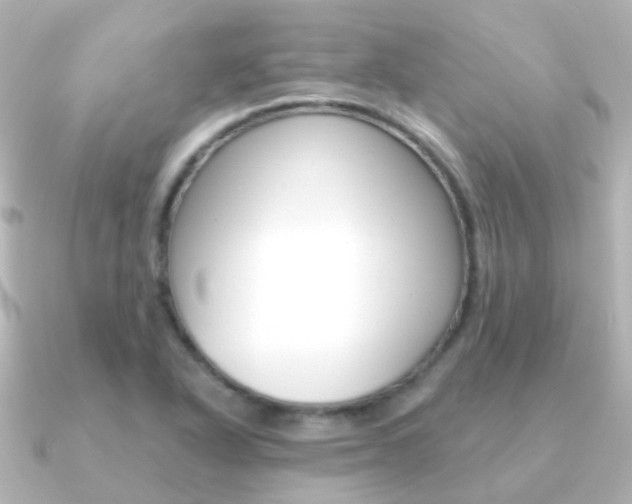 X0000091331318200708100955