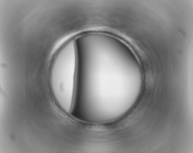 X0000091331319200708100955